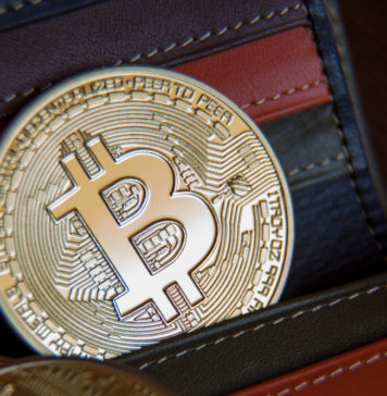 Виды кошельков для хранения биткоин