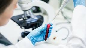 Кровь на краснуху