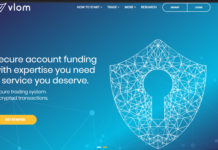 Vlom: профессиональное сопровождение в мир онлайн-трейдинга