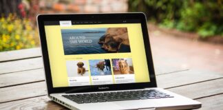 Зачем создают и ведут блоги?