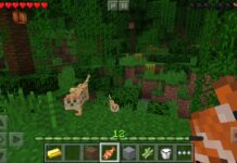 Скачать Майнкрафт 2021: самая последняя версия