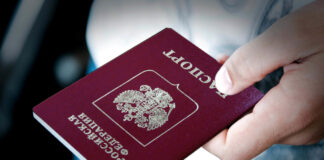 Как пробить паспорт гражданина РФ?