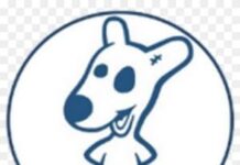 Инструкция по скачиванию VK MP3 на андроид