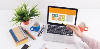 Зачем арендуют интернет-магазин?