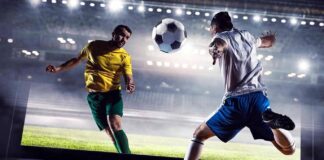 Лучшие виды ставок на спорт