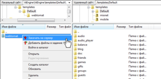 Как получить host из url в PHP?