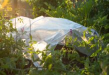 Укрывной материал: особенности и правила применения