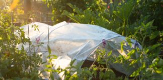 Укрывной материал: особенности и правила применения