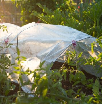 Укрывной материал: особенности и правила применения