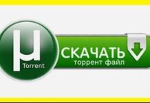 Как скачать торрент?