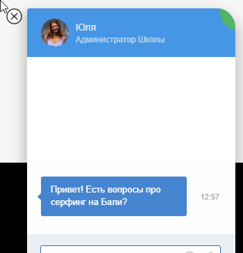 Возможности чата для сайта