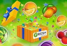 Fresh Casino: удача всегда с тобой