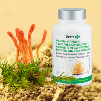 Кордицепс Тяньши: Действие, Преимущества и Цена